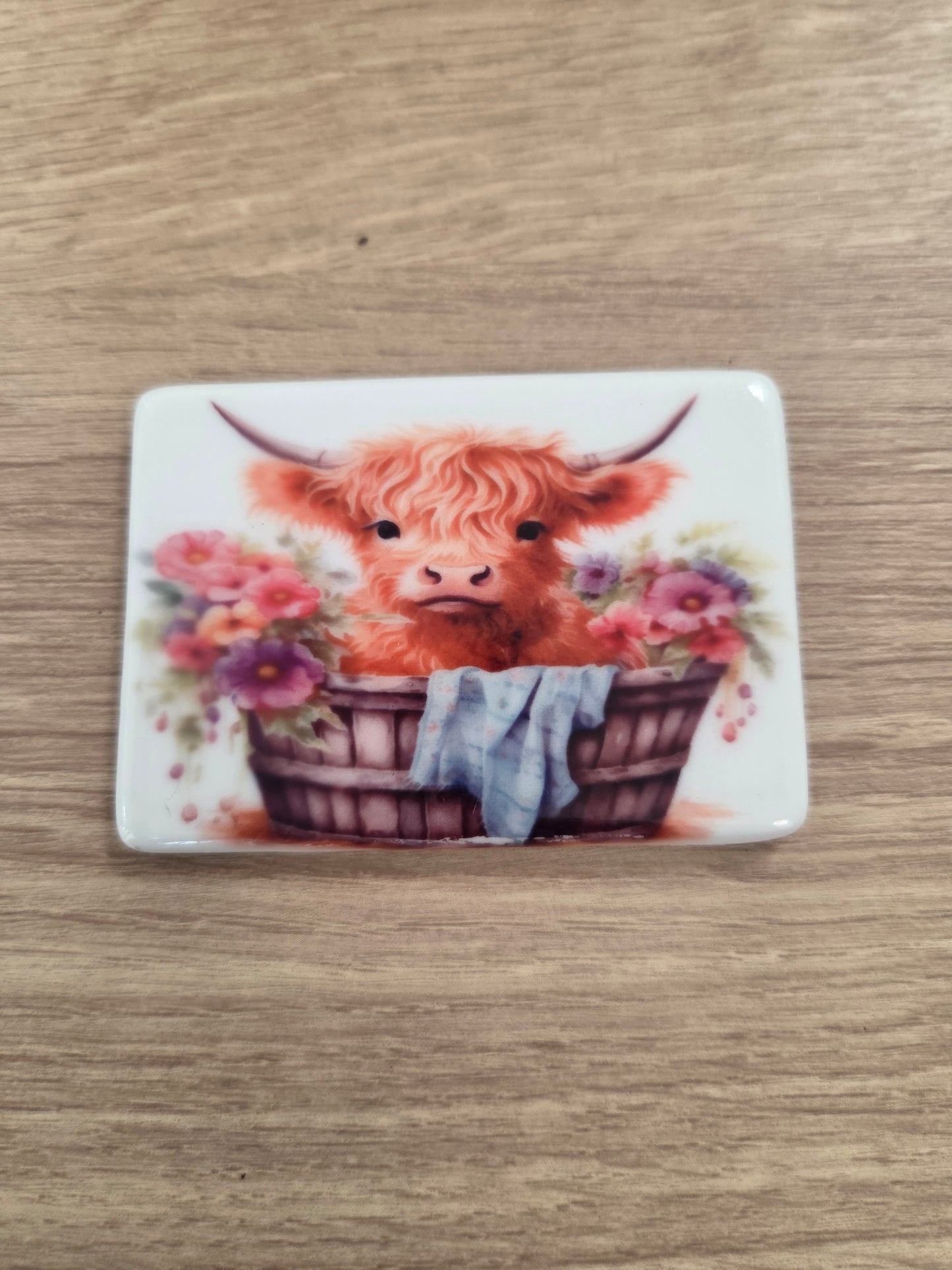 Highland cow  Magnet