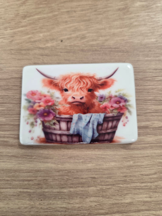 Highland cow  Magnet