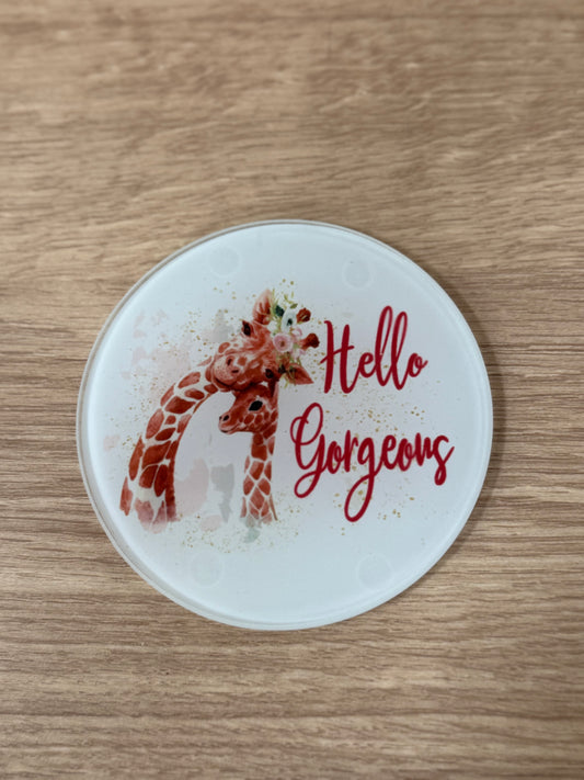 Hello gorgeous coaster